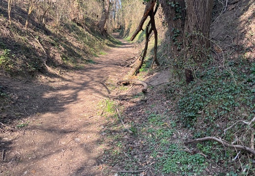 20220325074004-28e0211d